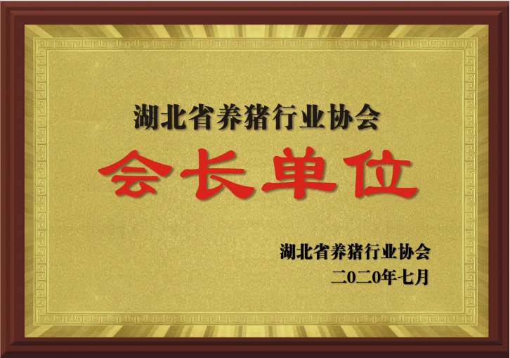 蓝月亮香港正版资料大全
