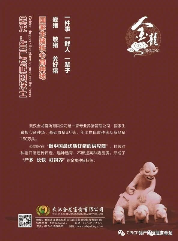 蓝月亮香港正版资料大全