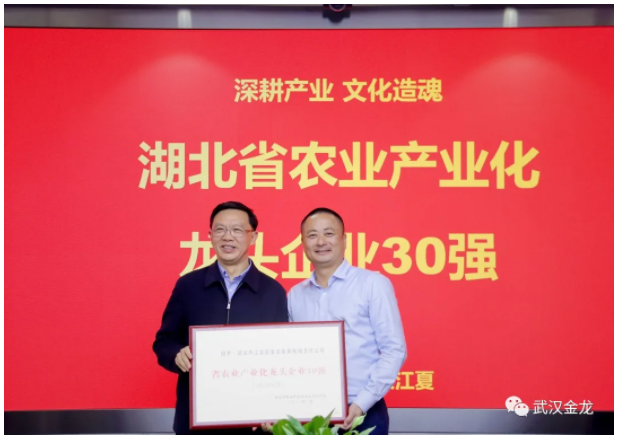 蓝月亮香港正版资料大全