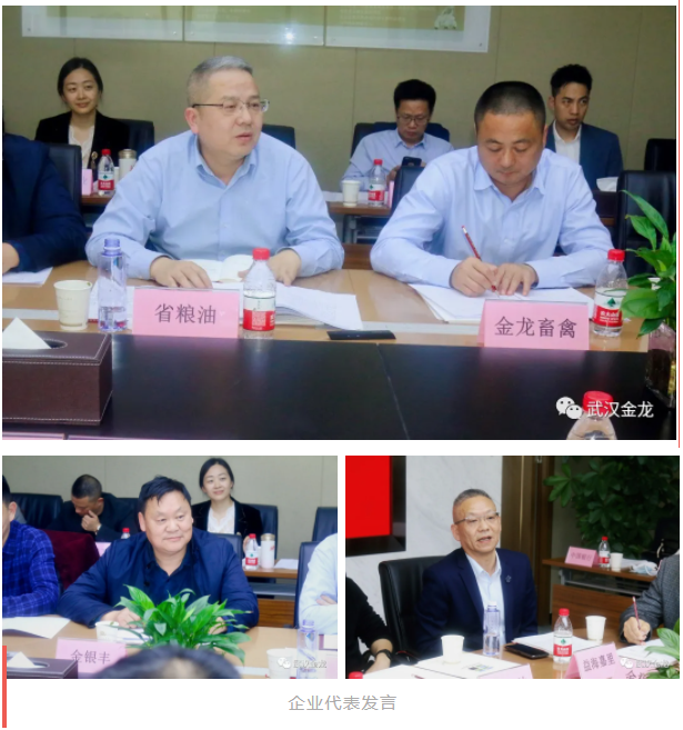 蓝月亮香港正版资料大全