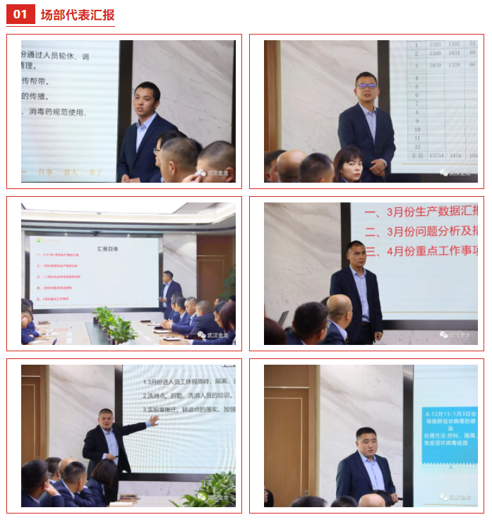 蓝月亮香港正版资料大全