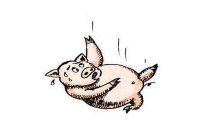 蓝月亮香港正版资料大全