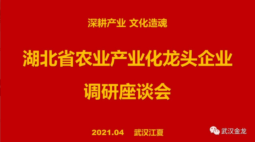 蓝月亮香港正版资料大全