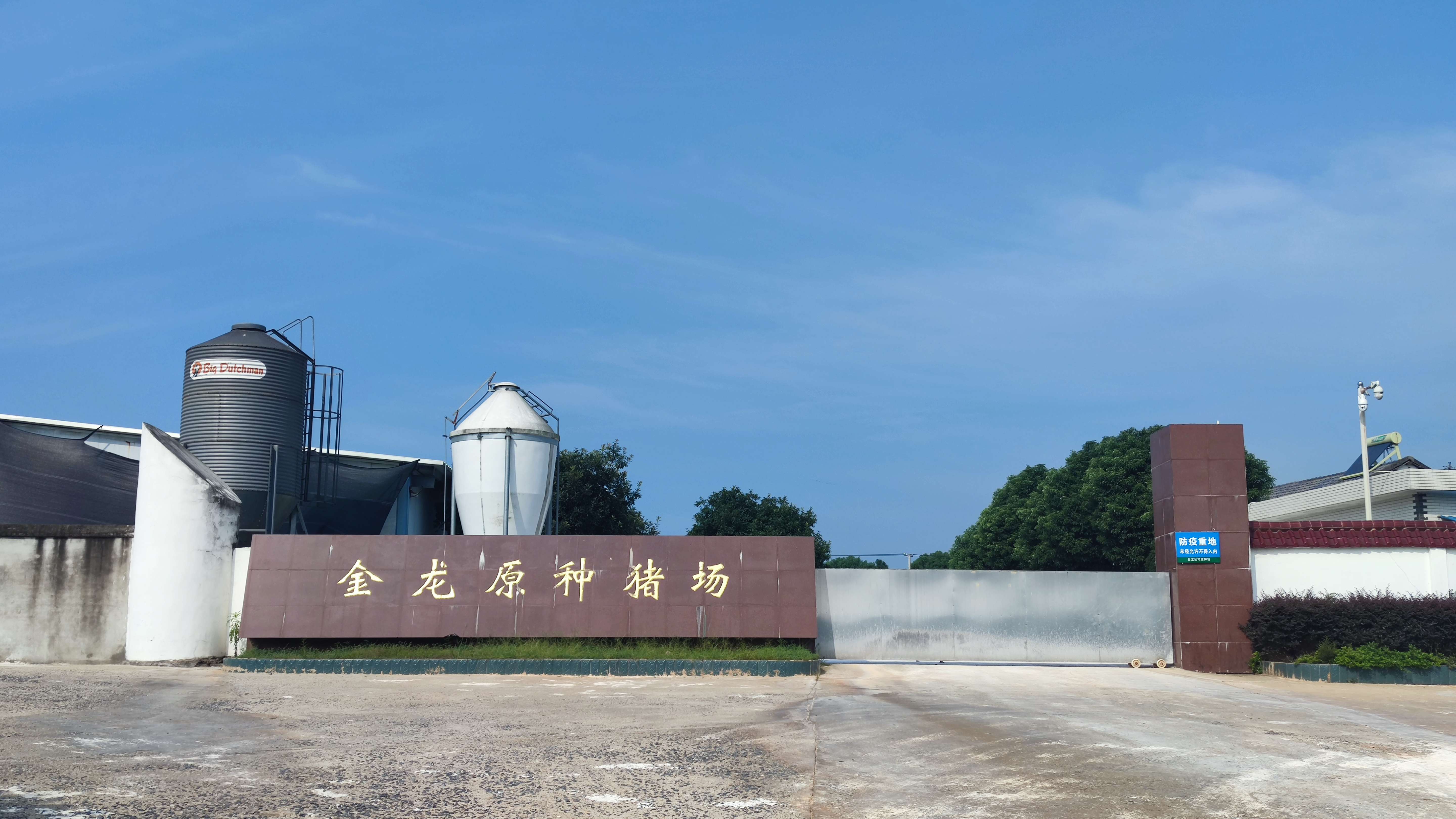 蓝月亮香港正版资料大全